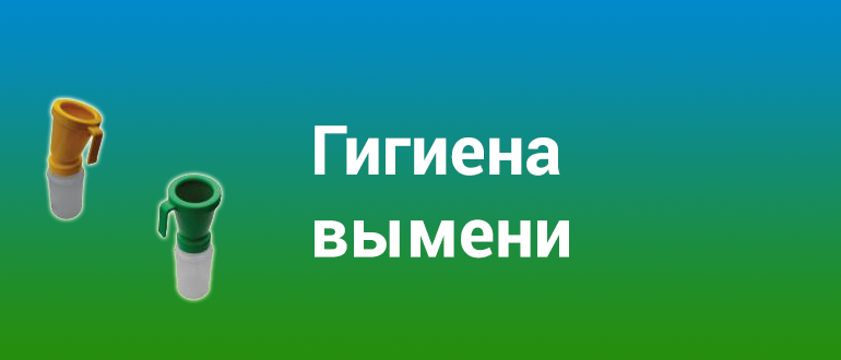 гигиена вымени